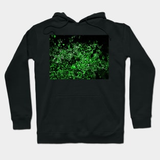 Malachite Hoodie